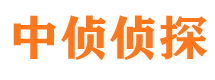 社旗婚外情调查取证